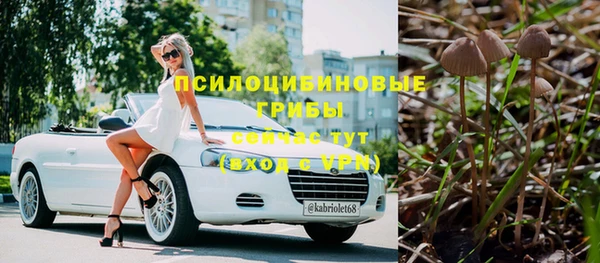 кокс Нея