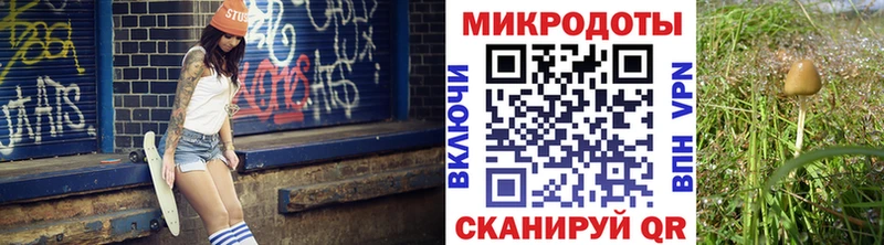 blacksprut вход  Ногинск  Галлюциногенные грибы Psilocybine cubensis 