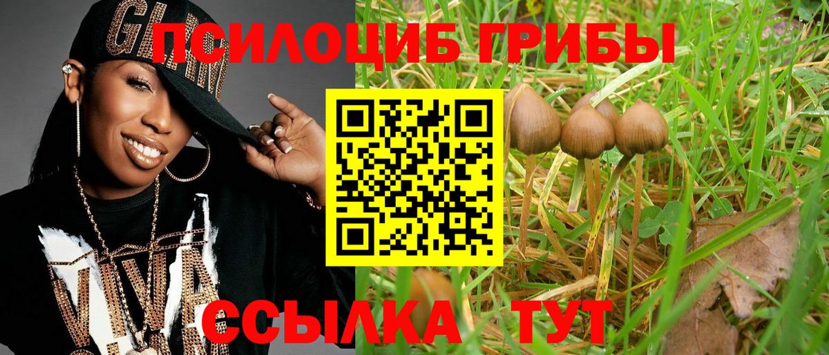 где купить наркотик  Вход с VPN  Ногинск  Галлюциногенные грибы мицелий 